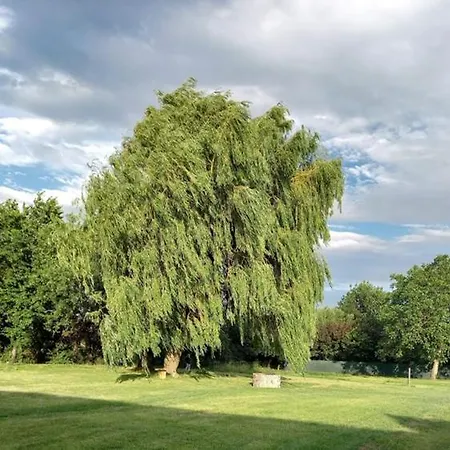 Nemespecsely Udvarhaz شقة